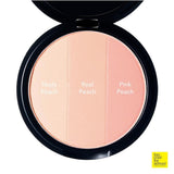 Artclass By Rodin Blusher De Peche 9.5g