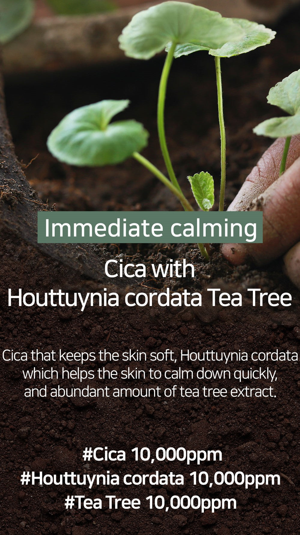 [Mary&May] CICA Houttuynia Tea Tree Calming Mask 30ea/400g