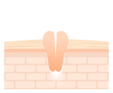 Crossbarrier Mask 30 sheets