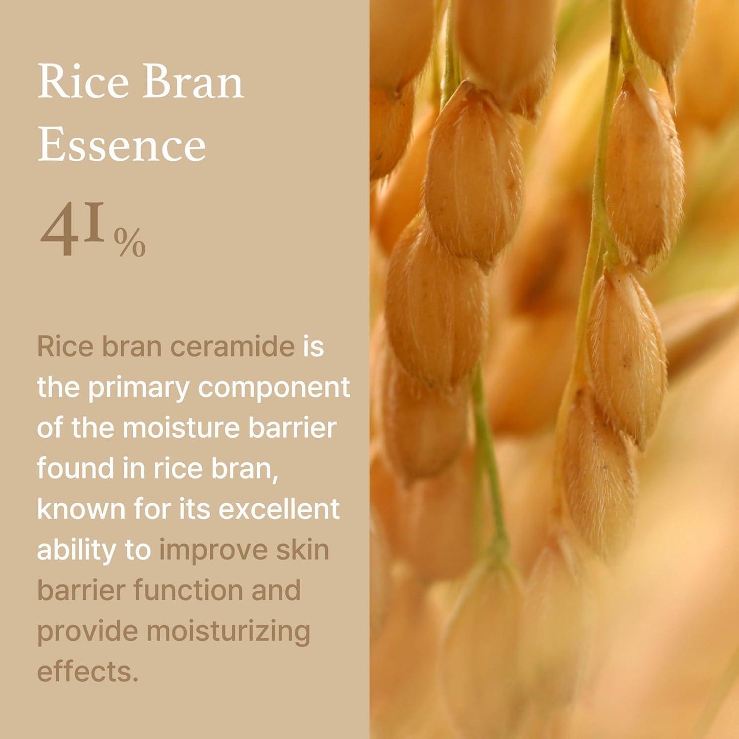 [ImFrom] Rice Cream 50g