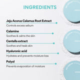 No-Sebum Mineral Powder 5g