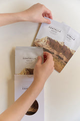 Madagascar Centella Watergel Sheet Ampoule Mask 1ea