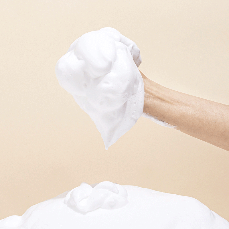 Houttuynia Cordata + Tea Tree Cleansing Foam - 150ml