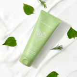 Houttuynia Cordata + Tea Tree Cleansing Foam - 150ml