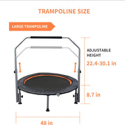 Folding Mini Fitness Trampoline